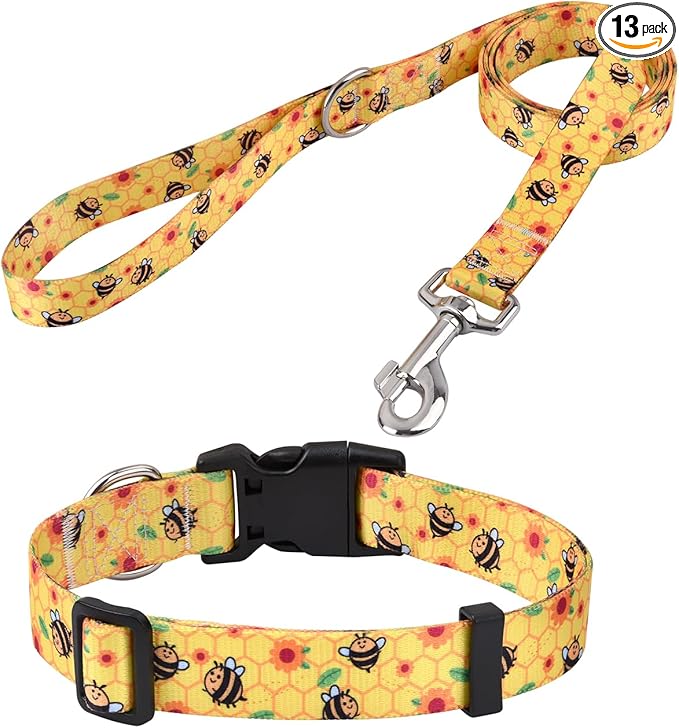Mihqy Dog Collar and Leash Set by Mihqy