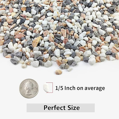 YISZM 2LB Succulent and Cactus Gravel Pebbles, 1/5 Inch Natural Decorative - Image 2