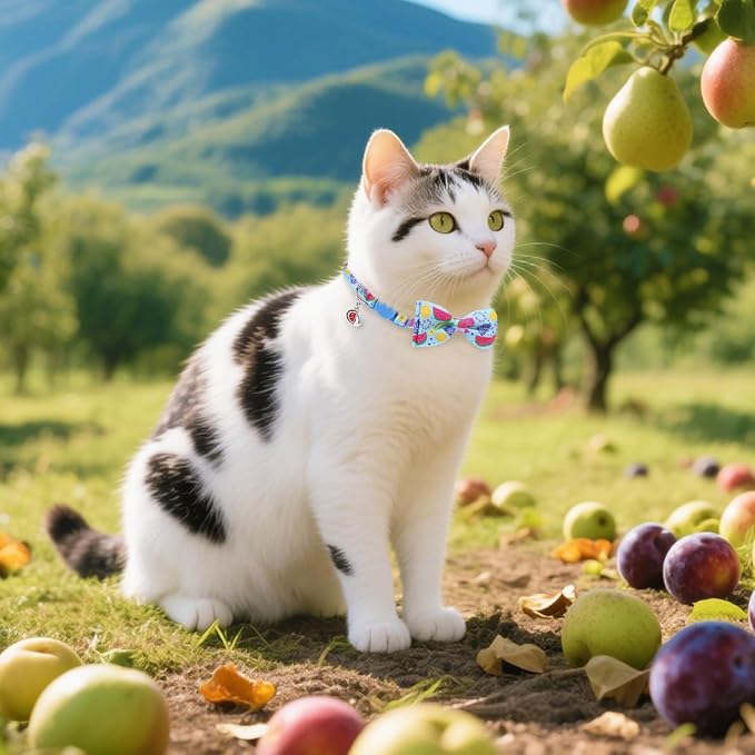 PUPTECK Cat Collar Breakaway - Image 9