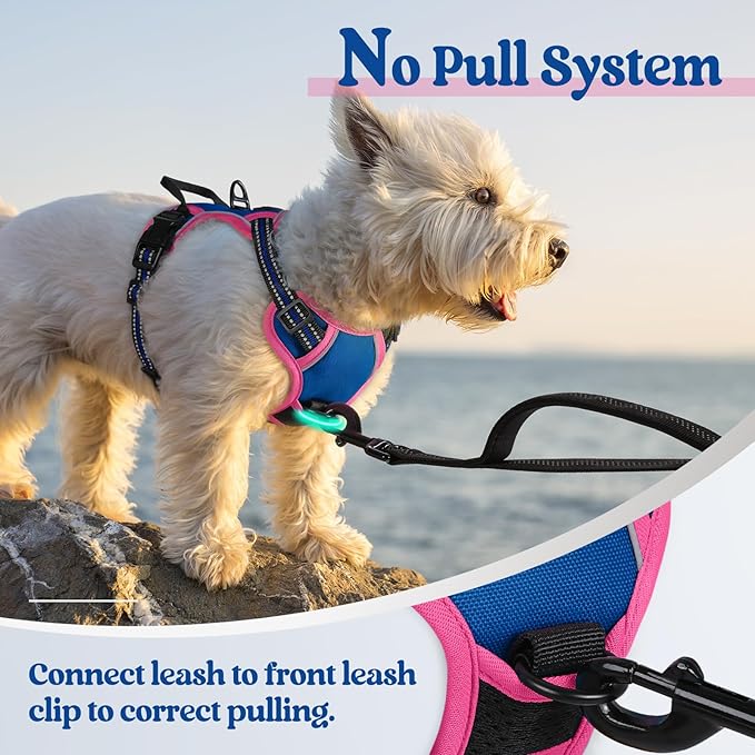 rabbitgoo Dog Harness No Pull - Image 5