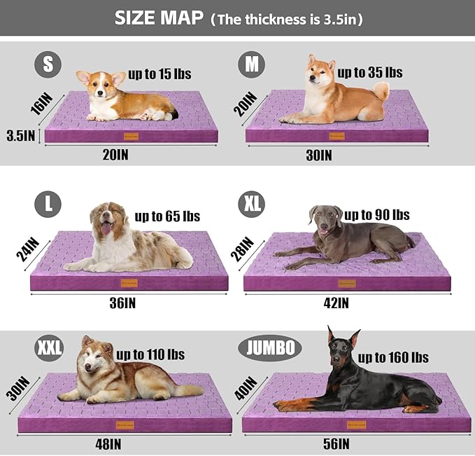 Patas Lague Orthopedic Jumbo Dog Bed - Image 5