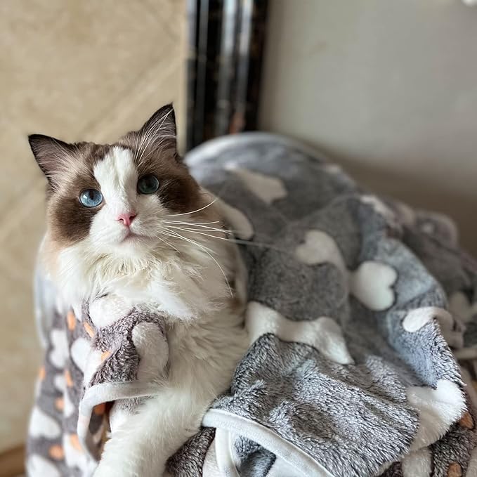 1 Pack 3 Puppy Blankets Super Soft Warm Sleep Mat Grey Cute Print Blanket - Image 7