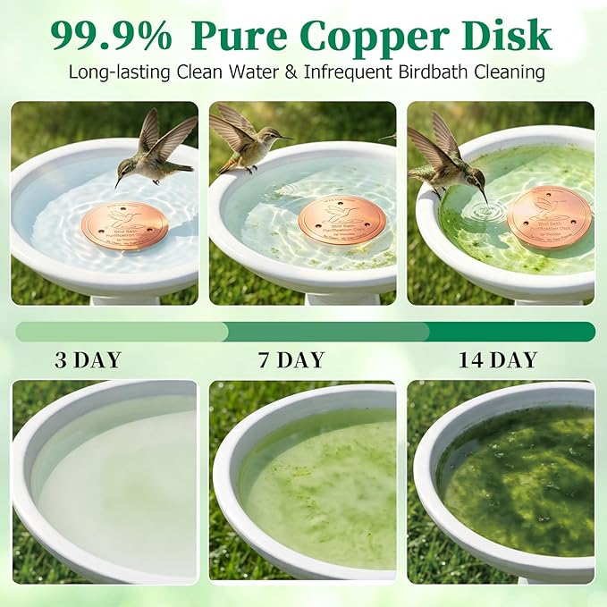 Bird Bath Copper Disk, 0.6mm Reinforced 99.99% Pure Copper Cleaning Disc Plate - Image 2