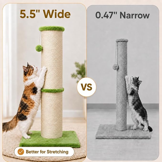 PAWSCRAT Cat Scratching Post 32 Inch High, 5.5 Inch Large Diameter Natural - Image 4