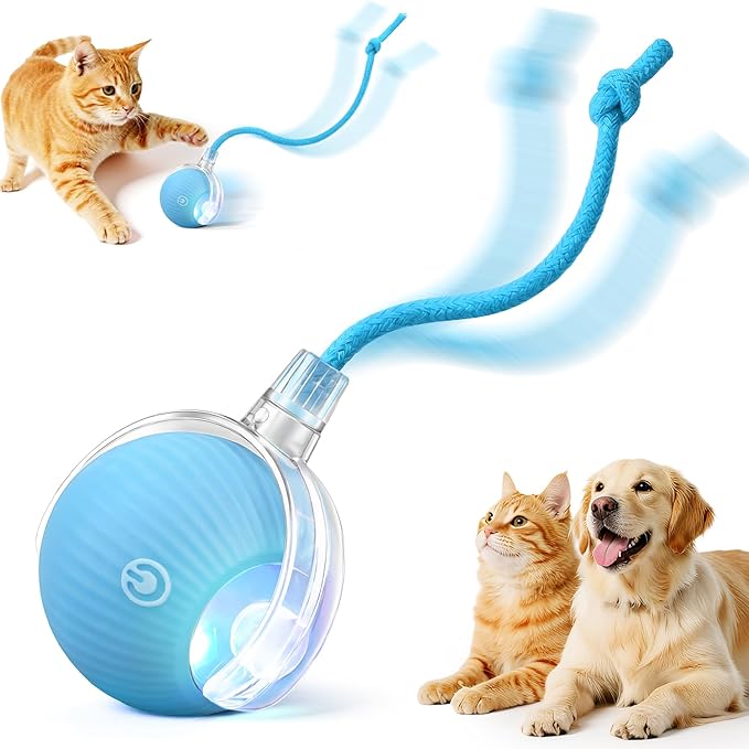 Smart Interactive Automatic Electric Rolling Moving Rechargeable Motion by Unknown