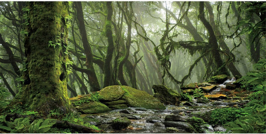 AWERT Foggy Forest Terrarium Background - Stream Green Huge Tree Reptile Habitat - Tropical Rainforest Aquarium - 48x20 inches - Durable Polyester