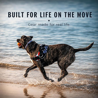 ShawnCo Essential Dog Harness, No-Pull Pet Vest - Image 9