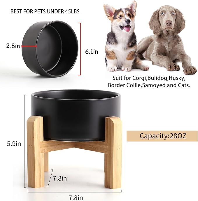 Petygooing 28 OZ Black Elevated/Raised Ceramic Dog Bowl - Image 3