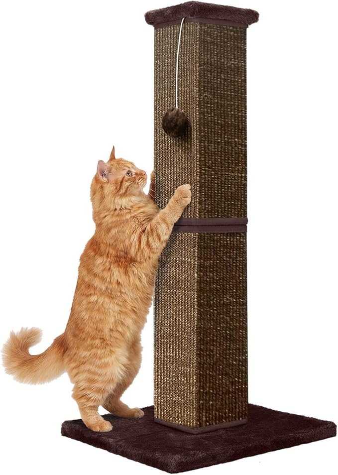 Cat Scratching Post 32 Inch for Indoor Large Cats and Kitten, Nature Sisal Tall by YULOYI