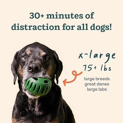 WOOF Pupsicle - Long-Lasting Interactive Dog Ball Toy to Keep Your Pup Busy and - Image 8