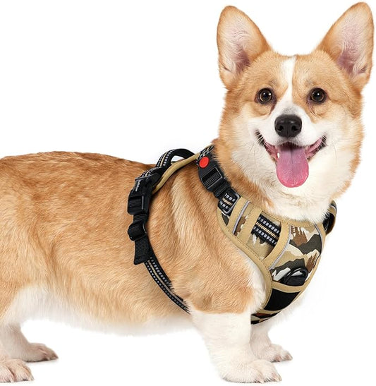 rabbitgoo Dog Harness Small Sized, No Pull Easy On & Off by rabbitgoo