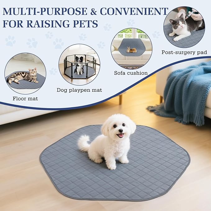 2-in-1 Small Animals Playpen - Image 5