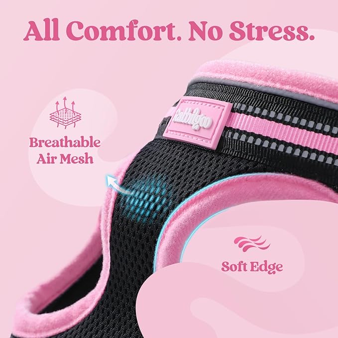 rabbitgoo Cat Harness and Leash, Step-in Escape Proof Kitten Harness Set - Image 7