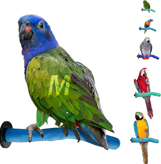 Sweet Feet & Beak Safety Pumice Bird Perch, Medium 1-1/4" X 12", Lightweight by SweetFeetBeak