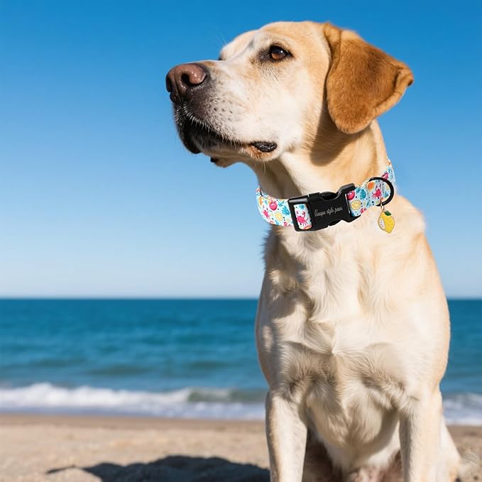 Unique style paws Dog Collar Plastic Buckle - Image 4