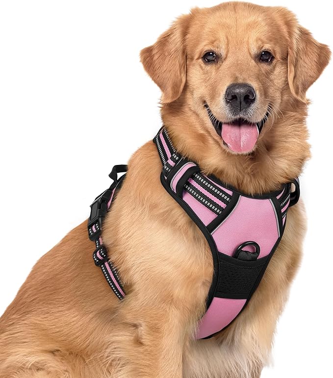 rabbitgoo Dog Harness No Pull by rabbitgoo