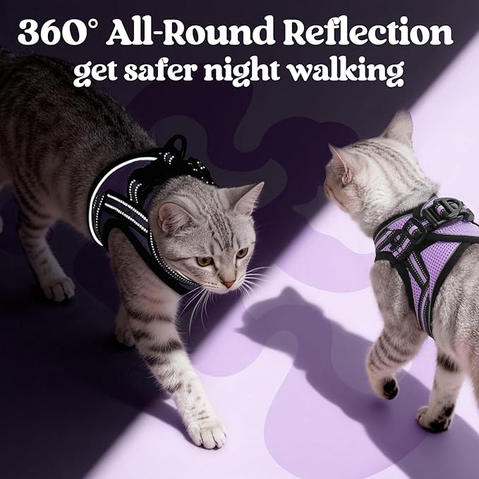 rabbitgoo Cat Harness and Leash, Step-in Escape Proof Kitten Harness Set - Image 5