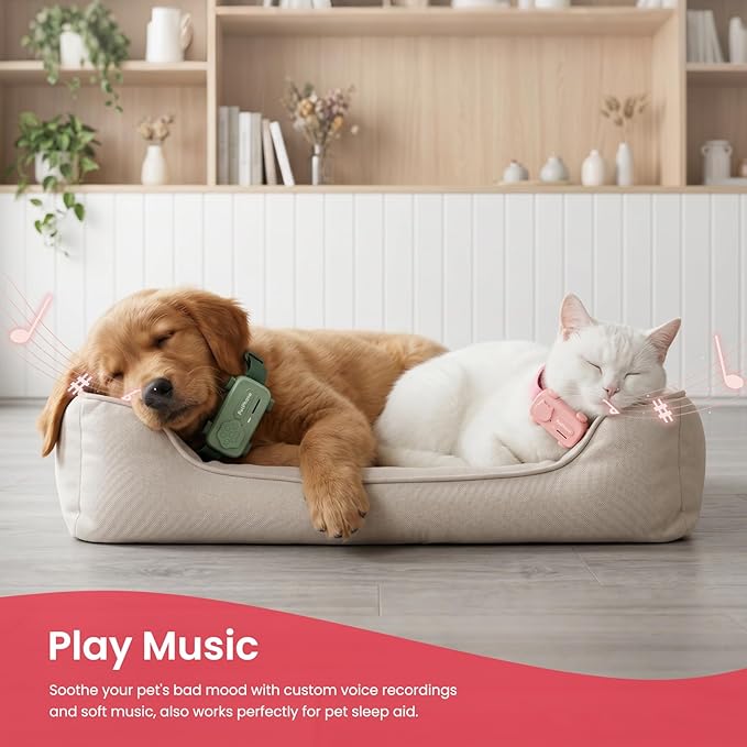 GlocalMe PetPhone Pet Tracker for Dog and Cat, Support Play Music and 2-Way - Image 5