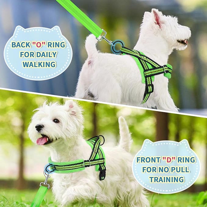 Lukovee Soft Padded Small Dog Harness - Image 7