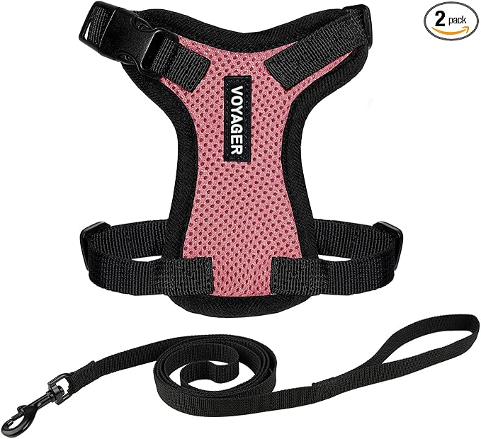 Voyager Escape-Proof Step-in Lock Cat Harness & 5ft Neoprene-Handle Leash Set by BestPetSuppliesLLC