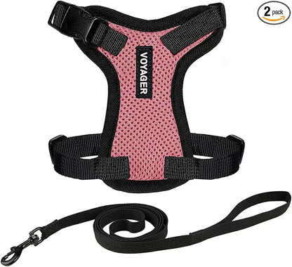 Voyager Escape-Proof Step-in Lock Cat Harness & 5ft Neoprene-Handle Leash Set by BestPetSuppliesLLC