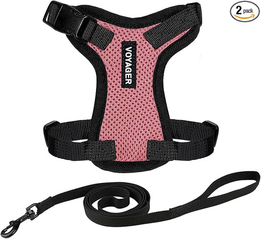 Voyager Escape-Proof Step-in Lock Cat Harness & 5ft Neoprene-Handle Leash Set by BestPetSuppliesLLC