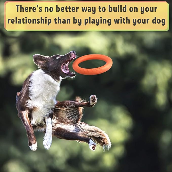 PetSpy Dog Ring Toy – Flying Ring - Image 5