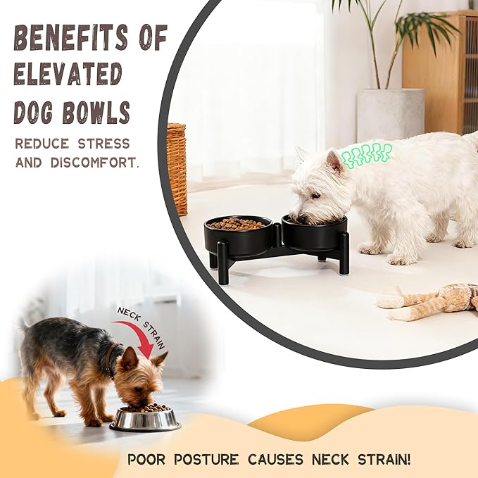 Raised Ceramic Dog Bowl Set - Image 7