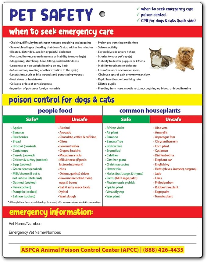 Safety Magnets by ZOCO – Pet Safety Fridge Magnet – Cat & Dog CPR – Safe & by SafetyMagnets