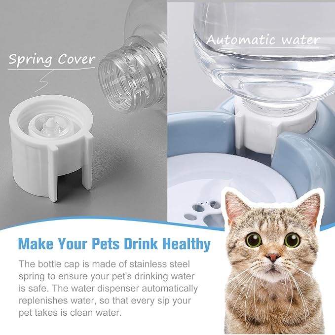 Double Dog Cat Bowls, Cat Food and Water Bowl Set - Image 4