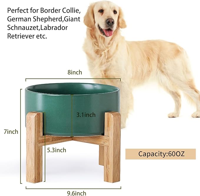 Petygooing Green Elevated/Raised Ceramic Dog Bowl - Image 3