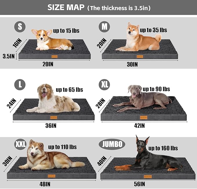 Patas Lague Orthopedic Jumbo Dog Bed - Image 5