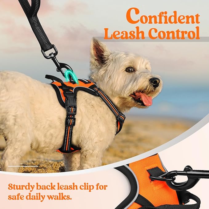 rabbitgoo Dog Harness No Pull - Image 6