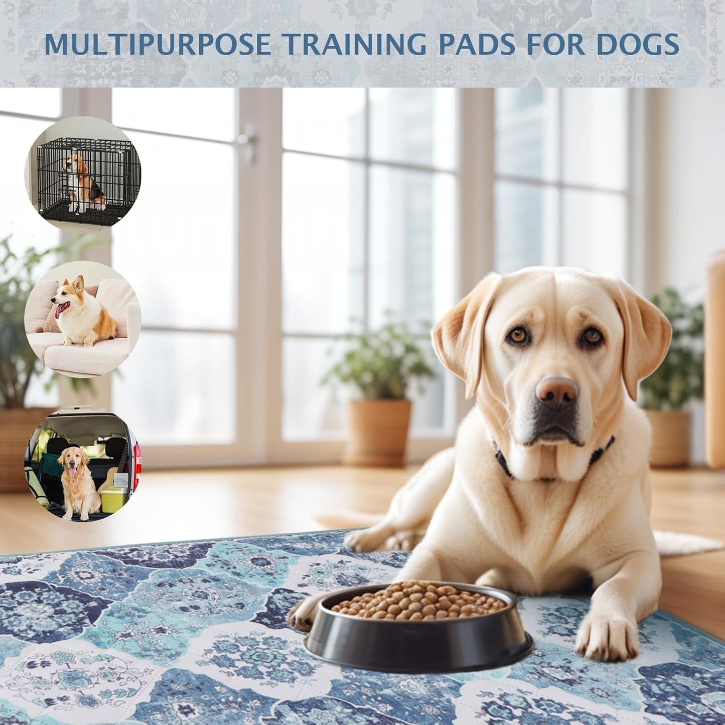 IEUUMLER Washable Pee Pads for Dogs, 2 Pack Reusable Pee Pads for Dogs Non-Slip Grip, Super Absorbent Waterproof Puppy Pads for Potty Training, Playpen, Crate, Whelping Box EU011 (Blue,41" x 41")