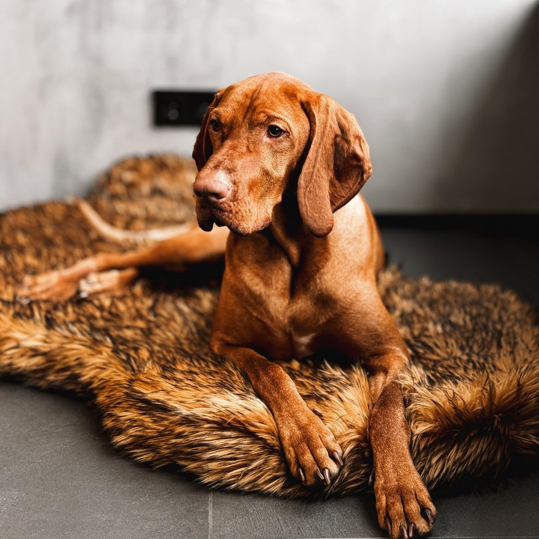 IHAPPYDOG Luxury Faux Fur Orthopedic Dog Bed, Memory Foam Dog Bed for Small, Medium, Large and XL Pets, Fluffy Pet Bed with Waterproof and Washable Cover (Brown, 40"x25")
