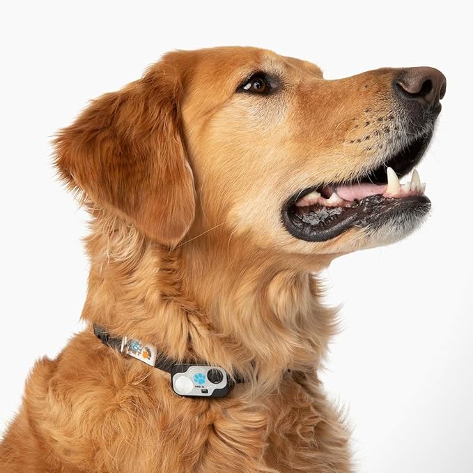 Genuine MS-5® Designer Series Automatic Pet Door Collar Tested & Certified by - Image 5