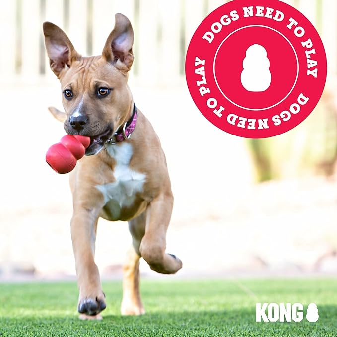 KONG Classic Stuffable Dog Toy - Image 9