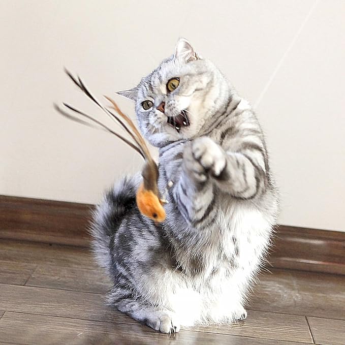 miwoowim Interactive Cat Wand Toy Set – 2 Retractable Wands - Image 7