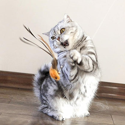 miwoowim Interactive Cat Wand Toy Set – 2 Retractable Wands - Image 7