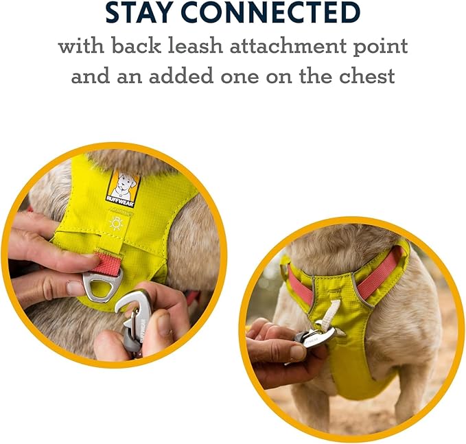 Ruffwear, Hi & Light, Everyday Lightweight Dog Harness, Trail Running, All-Day - Image 4
