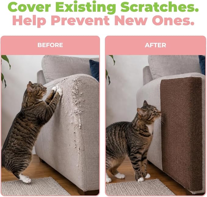 Best Pet Supplies Catify Cat Scratcher, Fun Interactive Scratchers, Claw Safe - Image 6