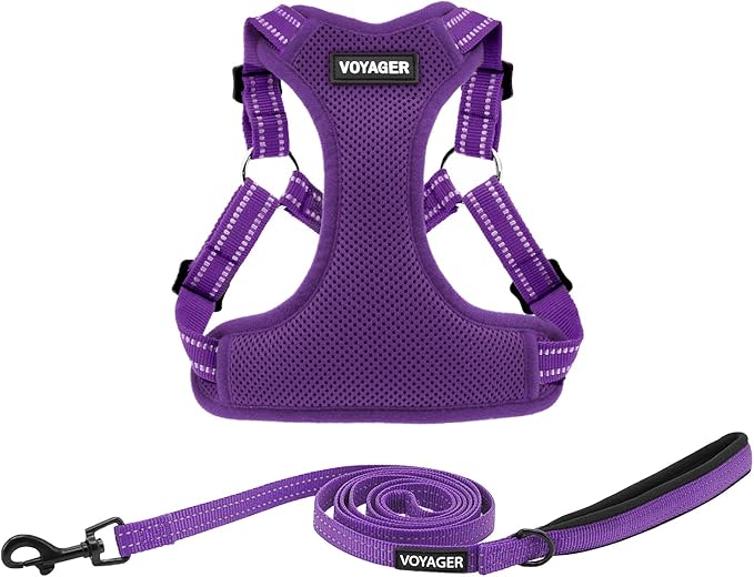 Best Pet Supplies Voyager Adjustable Step-in Flex Breathable Mesh Dog Harness by BestPetSuppliesLLC