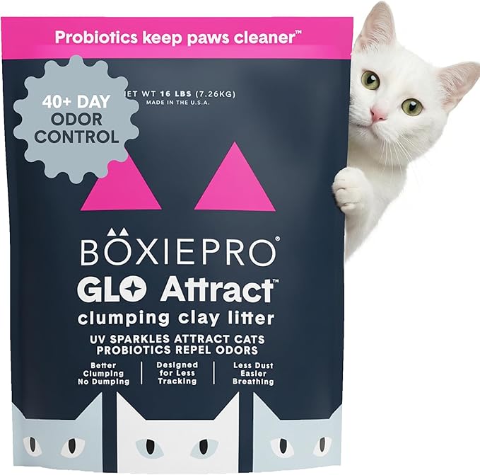 Boxie Glo Clumping Clay 30 Day Odor Control Cat Litter, 99.9% Dust-Free by Boxiecat