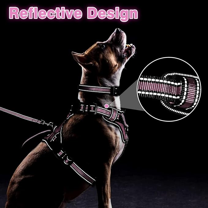 WINSEE Pet Harness Collar and Leash Set, All-in-one Reflective Dog Harness No - Image 5