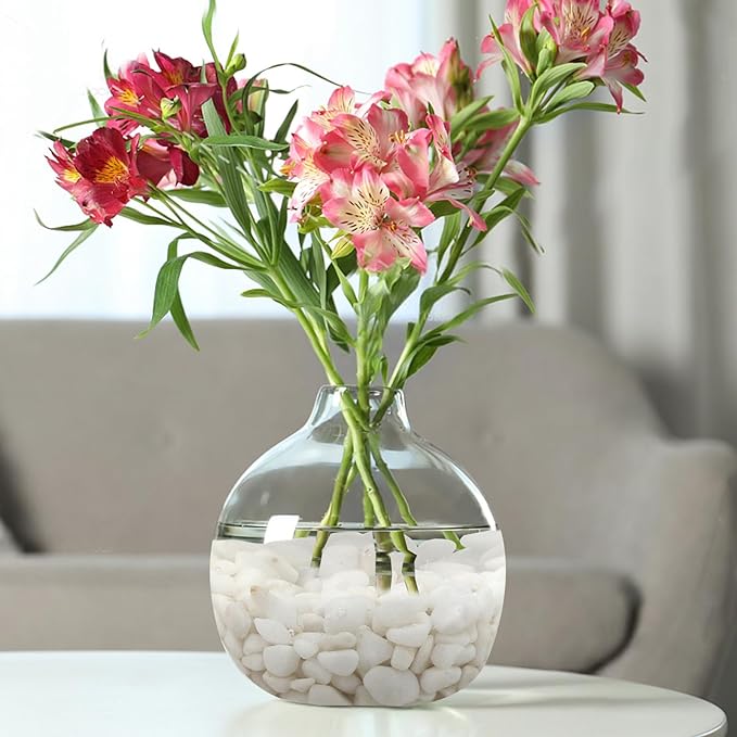 FANTIAN White Pebbles for Indoor Plants, 3/8 Inch Decorative White Stones. - Image 5