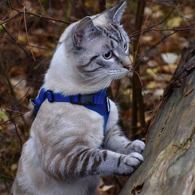 Voyager Escape-Proof Step-in Lock Cat Harness & 5ft Neoprene-Handle Leash Set - Image 5