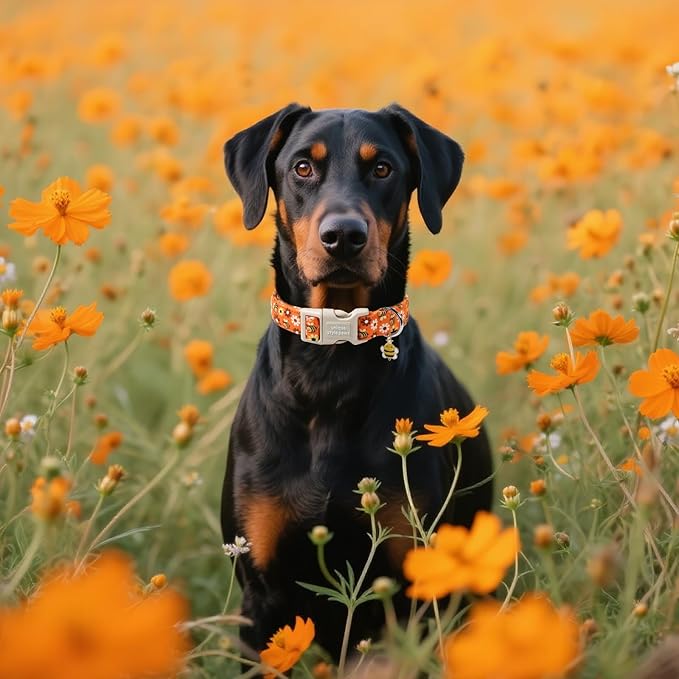 Unique style paws Dog Collar Plastic Buckle - Image 4