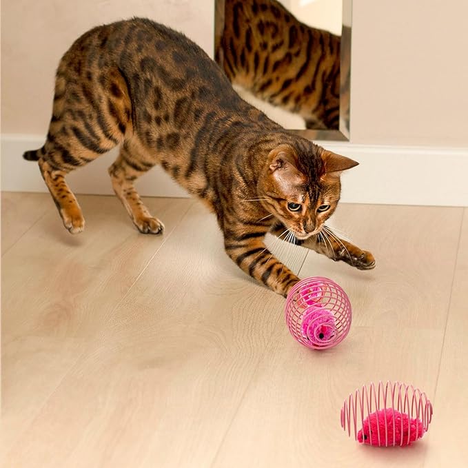 Jecery 25 Pcs Cat Spring Balls Toys Stretchable Rolling Balls Colorful Playful - Image 5