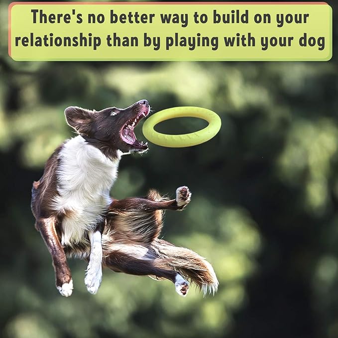 PetSpy Dog Ring Toy – Flying Ring - Image 4