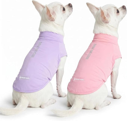 Spark Paws Sunblock Dog T-Shirt, SPF30 Protection, Lightweight Breathable Quick by SparkPaws